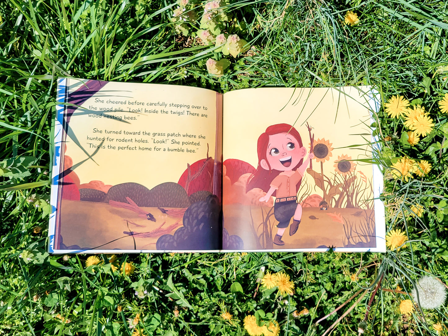 Save the Native Bees Hardcover Book
