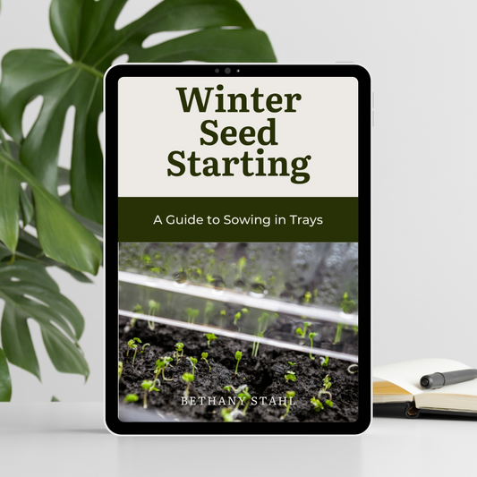 Seed Starting Guide